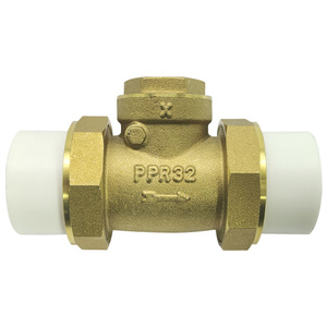 Clapet anti-retour en laiton Mori River PPR32 4/6 pouces DN20/25 pour tuyau d'eau horizontal, structure à une seule palette - Product Image 1