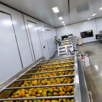 Fruit mango gemengde sap mango verwerkingslijn mango sap productielijn maakmachine