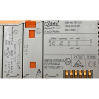 MÓDULO DE ENTRADA ANALÓGICA DE 2 CANALES 750-452