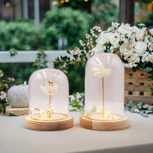 Hot Selling Glass Dome Display with Wood Base for Crafts Decoration Hand Made Custom Mini Bell Jars Glass Cloche Dome with Light