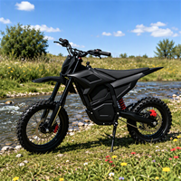 120Nm High Torque 2600W Electric Dirt Bike 50KM/H 40KM Range 48V 20Ah Off Road Electric Motorcycle Hydraulic Brakes