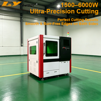 Máquina de Corte Láser de Fibra de Alta Precisión LY, Corte de Movimiento CNC 3D de Alta Eficiencia para Acero Inoxidable, Acero al Carbono y Aluminio