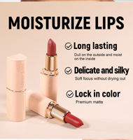 Rouge à lèvres mat hydratant en tube blanc crème, soyeux, hydratant, double soin intérieur, longue tenue, résistant au transfert, OEM ODM
