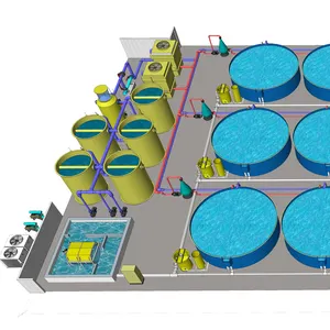 Shrimp Aquaculture Farm Shrimp Recirculation Aquaculture System Catfish/ Betta/sturgeon Farming And Fresh Water Shrimp Farming