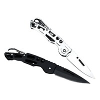 Oem Outdoor Vouwmes Klein Roestvrijstalen Fruitmes EDC Draagbare Sleutelhanger Multifunctioneel Zakmes
