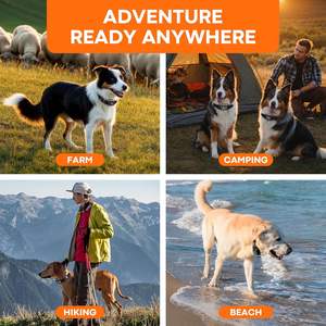 Système de clôture <span class=keywords><strong>sans</strong></span> <span class=keywords><strong>fil</strong></span> GPS <span class=keywords><strong>pour</strong></span> <span class=keywords><strong>chien</strong></span>, <span class=keywords><strong>collier</strong></span> de clôture électrique <span class=keywords><strong>pour</strong></span> chiens avec portée de 75 à 3000 pieds, étanche IPX7, <span class=keywords><strong>collier</strong></span> de clôture GPS <span class=keywords><strong>pour</strong></span> <span class=keywords><strong>chien</strong></span> - Product Image 6
