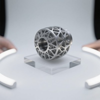 Service d'impression 3D professionnel SLS pour les prototypes fonctionnels en nylon PA12 et les pièces d'utilisation finale | Délai rapide