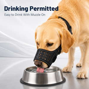 <span class=keywords><strong>Bozal</strong></span> Ajustable, Duradero y Transpirable para Perros, Previene Mordeduras y Masticación, Máscara Bucal para Mascotas, Apto para Perros Pequeños, Medianos y Grandes - Product Image 6
