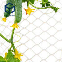 Livraison Rapide - Filet de Treillis en PE pour Plantes Grimpantes, Maille Diamantée Aérée, pour Jardins, Cours, Serres et Légumes
