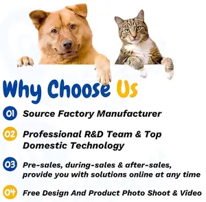 ODM OEM Cat Probiotic Gel Digestive And Gut Health Cat Supplement Dog Probiotics Cat Probiotics Pet Supplements