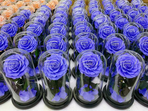 Rosa Preservada en Cúpula <span class=keywords><strong>de</strong></span> Cristal, Flor Real Eterna con Campana <span class=keywords><strong>de</strong></span> Cristal, Regalo Romántico para el Día <span class=keywords><strong>de</strong></span> San Valentín y el Día <span class=keywords><strong>de</strong></span> la <span class=keywords><strong>Madre</strong></span> - Product Image 2