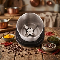 Moulin à café électrique 65g, lame en acier inoxydable, boîtier en plastique, usage domestique, mini moulin à épices, commande tactile