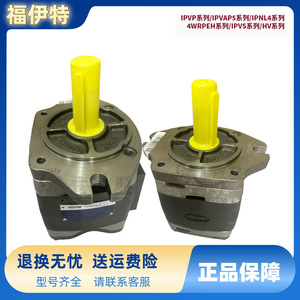 Pompe à engrenages Voith série IPVP, pompe hydraulique à haute pression à déplacement fixe, corps en fonte, engrenages en cuivre - Product Image 3