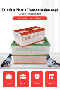 Cage à pigeons pliable en plastique en forme de porte, respirante, avec fermeture à poussoir, portable pour la course et le transport - Product Image 3