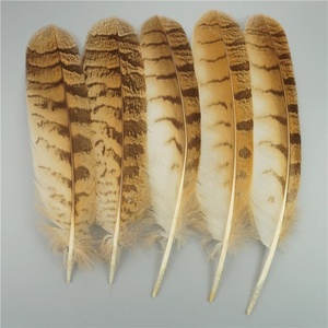 Lote de 10 Plumas de Águila Naturales para Manualidades, Accesorios para Tocados, Decoración Festiva, Plumas de Carnaval, Decoración DIY - Product Image 3