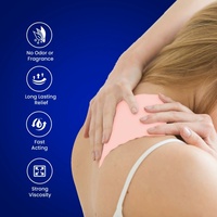 Parche Natural para el Bienestar Corporal, para Comodidad Muscular Diaria y Soporte Lumbar, Adhesivos con Extractos Botánicos, Suministro Directo de Fábrica OEM ODM