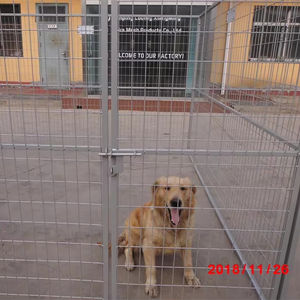 9.5FT * 9.5FT * <span class=keywords><strong>6FT</strong></span> büyük açık köpek kulübesi ağır köpek kafesi - Product Image 1