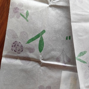 Extra Large sottovuoto monouso coprisedile wc coprisedile per bambini vasino da allenamento carta igienica coprisedile per adulti - Product Image 4