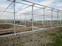 Grote, multi-span landbouwkas met pc-platen/glazen overkapping voor de teelt van groenten, bloemen en fruit
