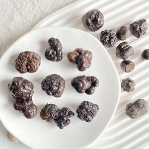 Fósil Natural de Piedra de Profecía, Heces de <span class=keywords><strong>Dinosaurio</strong></span> Fossilizadas, Espécimen para Decoración de Habitaciones - Product Image 1