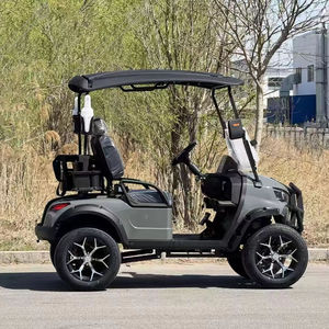 Mini voiturette de golf électrique classique de luxe, économique, 2 places, pour mariage, hôtel, usage hors route public - Product Image 1
