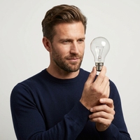 Ampoule LED Edison Incandescente Transparente Givrée 100W 200W 110V 220V A60 E27 B22