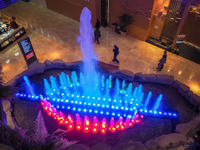 Projecteurs de fontaine flottants RISE RS-FT108W316X-B 24V DMX512 RGB RGBW 2700-6500K Température de couleur, qualité marine 316L