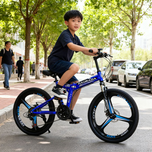 Bicicleta de Montaña OEM para Hombre y Mujer, Bicicleta Plegable de Carreras, Precio Económico - Product Image 6