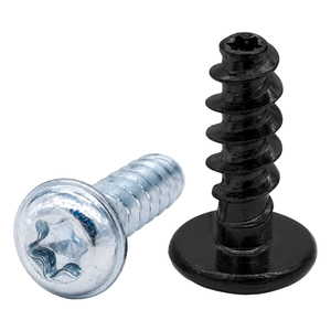 Vis autotaraudeuses Torx à tête cylindrique avec extrémité plate en plastique K2/K2.2/K2.5/K3/K3.5/K4, haute résistance à la traction 10.9 SS - Product Image 2