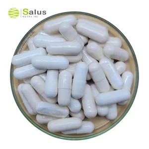 SALUS grosir OEM Label pribadi 500Mg TUDCA kapsul Acid Acid Capsules
