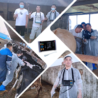 RS-A20 Portable Vétérinaire Échographie Rectale Linéaire Sonde Vache Cheval Machine À Ultrasons Bovin Échographie Grossesse Diagnostic