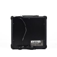 Amplificateur de guitare électrique Deviser Wholesale 15W TG-15 pour spectacle musical