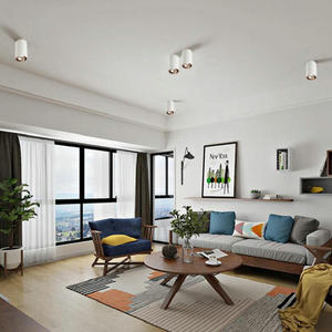 Đèn LED COB Gắn Trên Bề Mặt Có Thể Điều Chỉnh Độ Sáng 20W 30W Hiện Đại Cho Văn Phòng Khách Sạn Đèn LED Gia Đình Đèn Chiếu Sáng Trần Với Trình Điều Khiển LED - Product Image 5