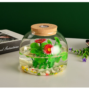 <span class=keywords><strong>Vase</strong></span> en verre DIY pour terrarium de mousse avec lumière LED et bouchon, décoration d'intérieur, pot de fleurs pour mariages et table - Product Image 6