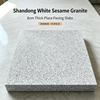 Fournisseur Direct Usine : Dalles de Granit Blanc Sablé Moderne de Haute Qualité, Écologiques, Design Graphique, pour Aménagement de Parcs et Pavés de Places