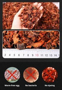 Vườn Màu Xanh Lá Cây Tại Giá Cả Phải chăng Giá Coco Than Bùn 5Kg Khối Coco Vỏ Chip Khối Coco Than Bùn Trong Sri Lanka - Product Image 3