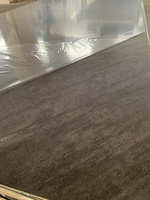 Panel de Pared para Baño de Hotel de Lujo Ecológico, PVC Ignífugo e Impermeable con Función Antiestática, Diseño Moderno Clásico y Flexible