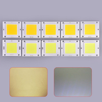 Puce LED COB 200W 100W 50W 30W 20W 10W Modules LED Lampe Carrée Haute Puissance Puce COB pour Projecteur DIY Lumière Inondante