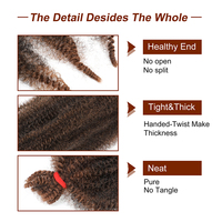Cheveux à tresser pré-séparés Kinky Marley, extensions en vrac pour tresses au crochet Spring Afro Twist, fausses locks pour femmes africaines