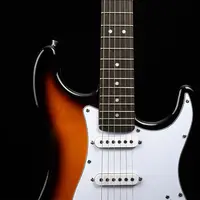 Amazon Hot Bán Electric Guitar 22 Băn Khoăn Dây Trắng Guitar Điện Giá