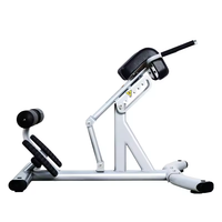 Chaise Romaine Commerciale de Haute Qualité, Banc d'Extension Dorsale, Équipement de Musculation, Banc à Haltères pour Gym à Domicile, Machine d'Entraînement des Lombaires