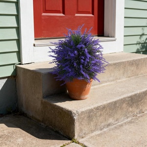 Plantes décoratives artificielles : Souci, <span class=keywords><strong>Eucalyptus</strong></span>, Breathe China, Breathe Topiary, Tiges résistantes, Fleurs blanches - Product Image 3