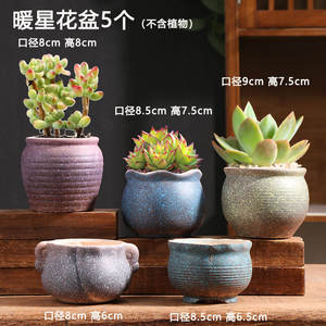 JM Rustic Home Décoration de bureau intérieure <span class=keywords><strong>Mini</strong></span> pots et jardinières <span class=keywords><strong>en</strong></span> céramique et porcelaine mignons pour plantes succulentes - Product Image 4