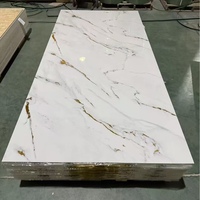 Lámina de PVC con Acabado Brillante UV, Paneles Decorativos de Pared de Lujo con Aspecto de Mármol, Hechos de Piedra y Plástico, Panel de Pared para Mampara de Ducha