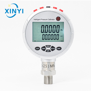 Calibrateur numérique intelligent OEM, précision 0,05 % F.S. (plage -0,1~250) MPa pour l'inspection et le contrôle des processus - Product Image 6