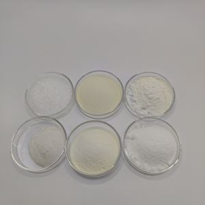 Fournisseur de probiotiques de qualité alimentaire 10 milliards d'UFC Lactobacillus Crispatus - Product Image 4