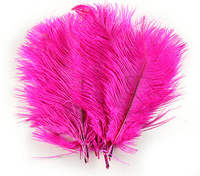 Plumes d'ailes d'autruche blanches de 15-20 cm pour centre de table de mariage, importées d'Afrique du Sud