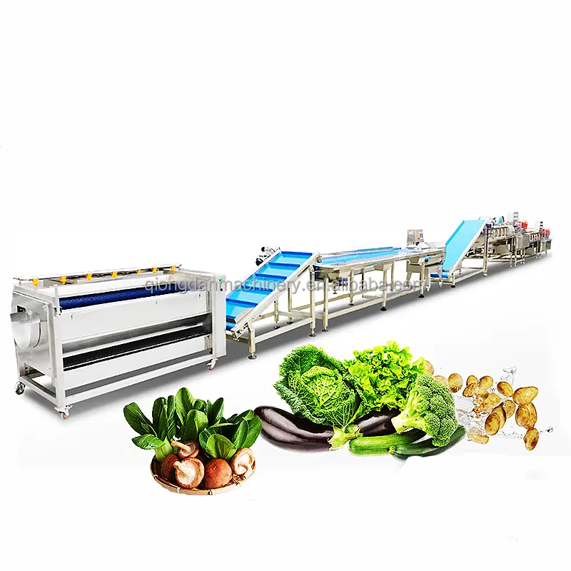 Industrial big capacity 1000-1500kgh frozen vegetable and fruits machine frozen vegetable production line processing plant