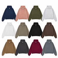 Hoodie Pria Gaya Jalanan Terbaru, Bahan Campuran Katun Musim Semi, Model Blank Fit Berkualitas Baik, dengan Oem Odm