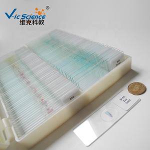 Ensemble <span class=keywords><strong>de</strong></span> 50 Lames Microscopiques Mixtes en Plastique et Verre pour l'Enseignement et la Recherche Scolaire, Lames Préparées - Product Image 2